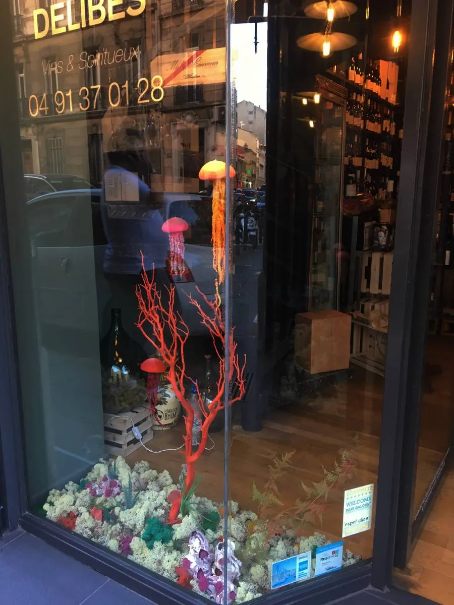 Agencement de vitrine avec une décoration inspirée marine — vue 4