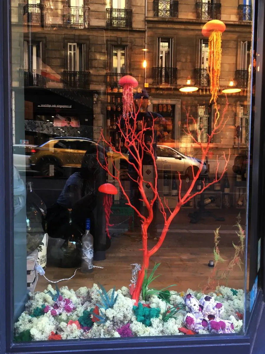 Agencement de vitrine avec une décoration inspirée marine — vue 5