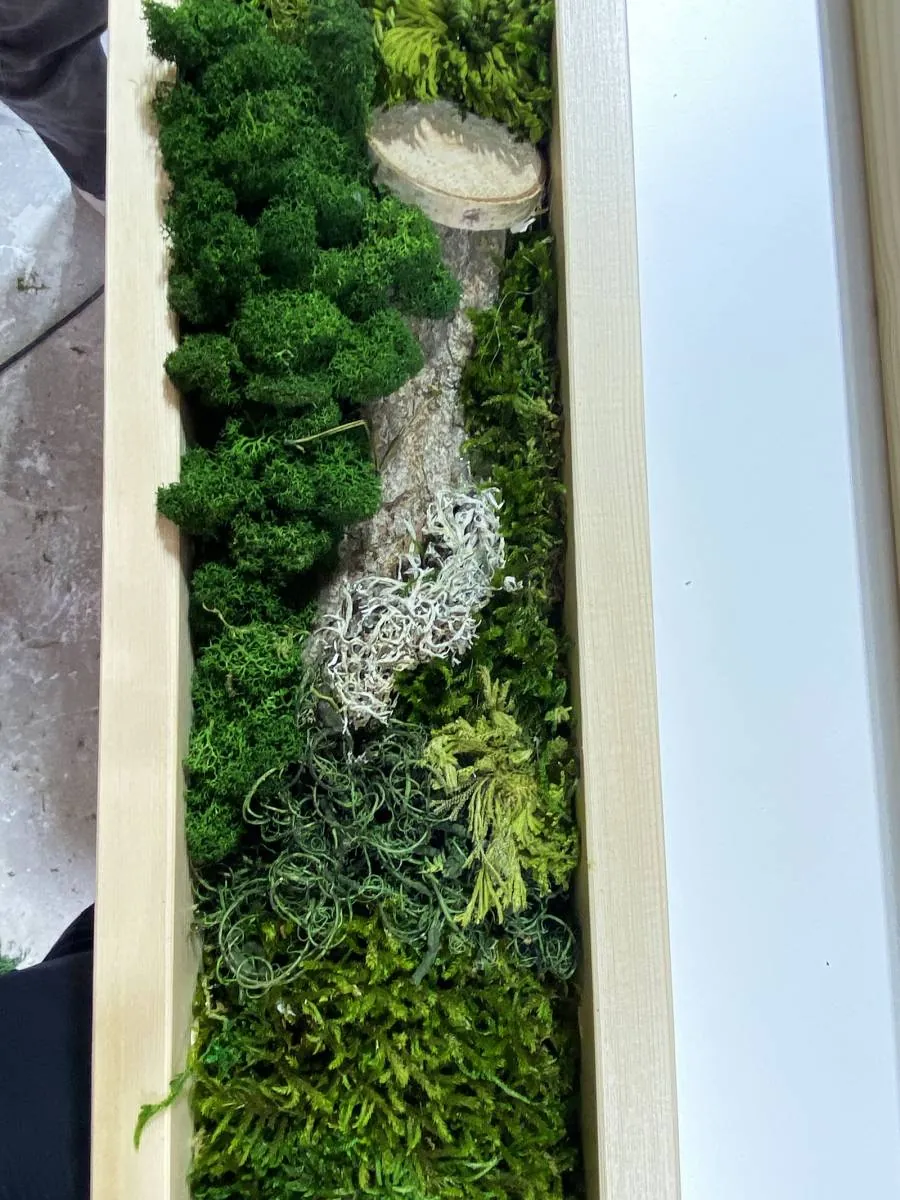 Agencement de vitrine pour la décoration de la boutique CBD à Marseille