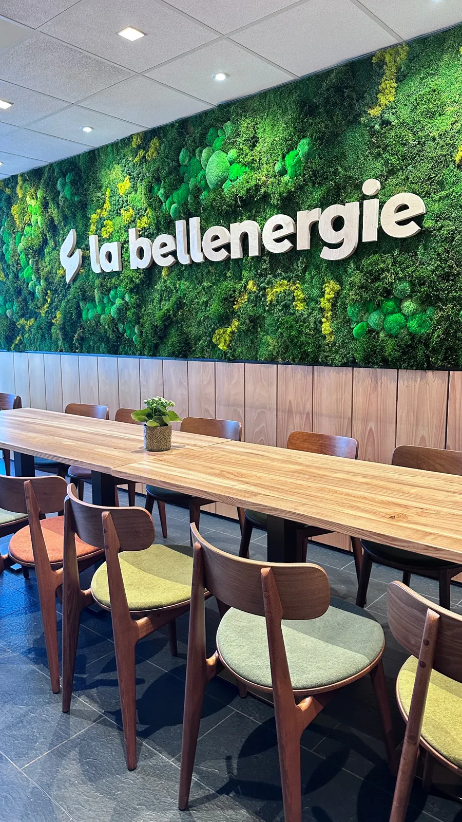 Aménagement des bureaux de la Bellenergie à Toulon var — vue 4