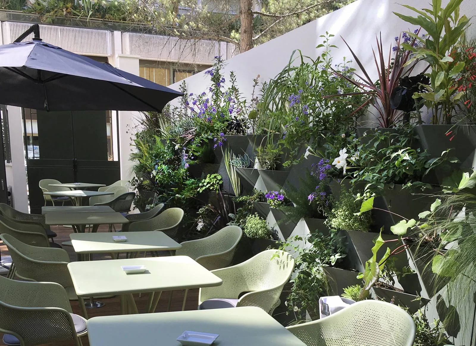 Aménagement d’un mur végétal » jardinières diamant » — vue 2