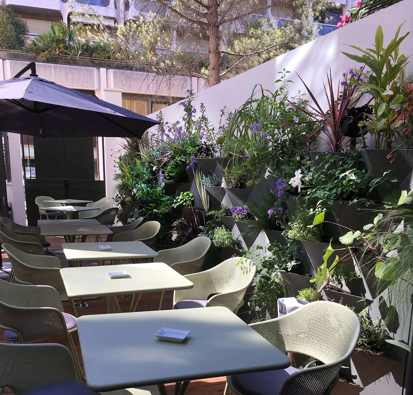 Aménagement d’un mur végétal » jardinières diamant » — vue 7