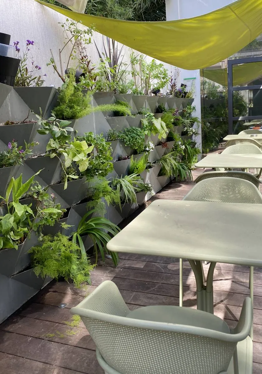 Aménagement d’un mur végétal » jardinières diamant »