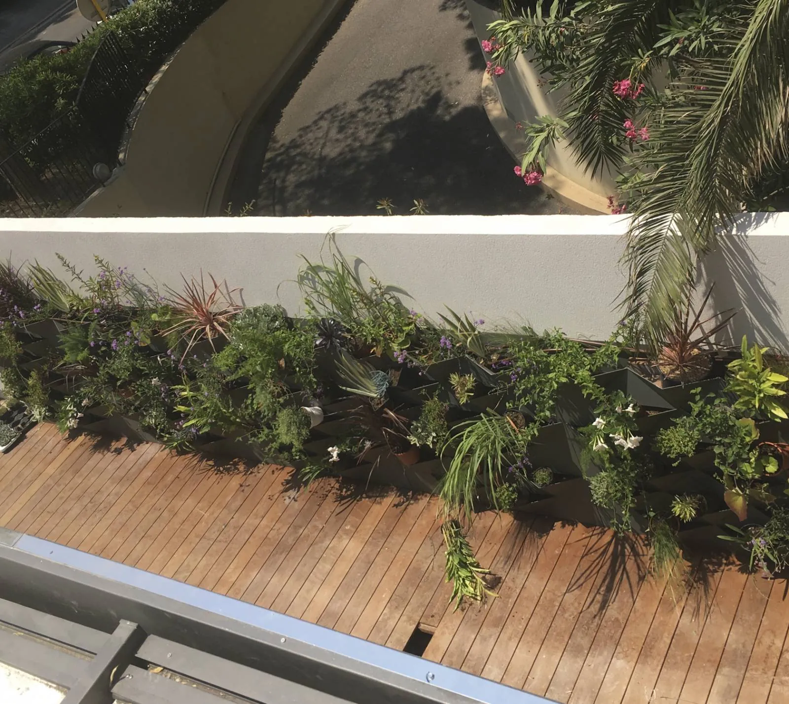 Aménagement d’un mur végétal » jardinières diamant » — vue 5