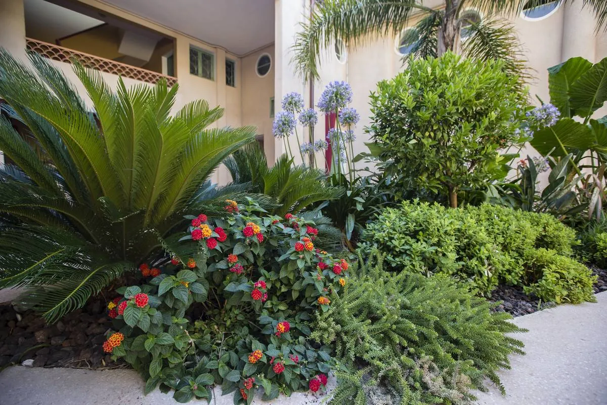 Aménagement d’un patio Art déco au Palais de la Plage à La Ciotat bouche du Rhône — vue 6
