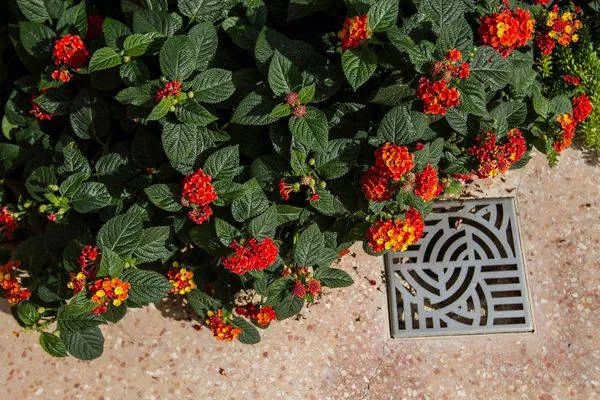 Aménagement d’un patio Art déco au Palais de la Plage à La Ciotat bouche du Rhône — vue 4