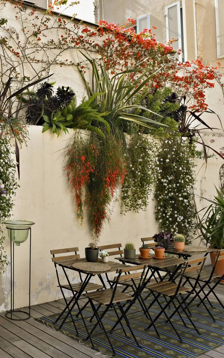 Aménagement de la terrasse et du patio avec un décor végétal — vue 4