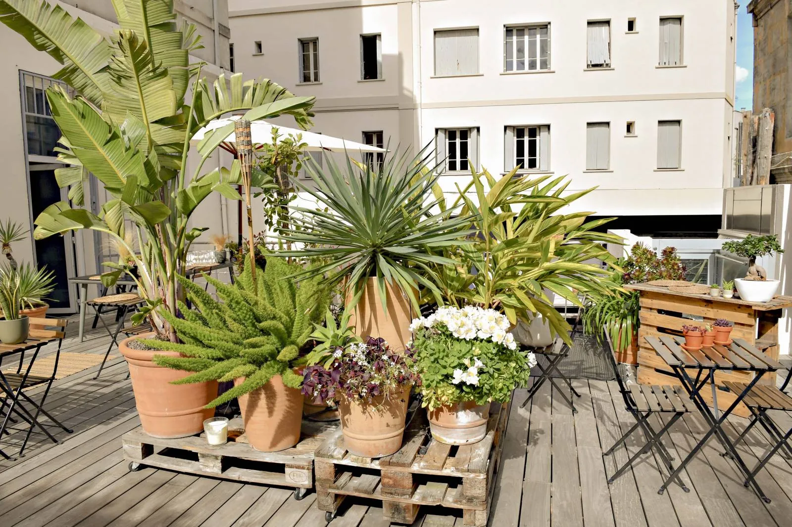 Aménagement de la terrasse et du patio avec un décor végétal — vue 3