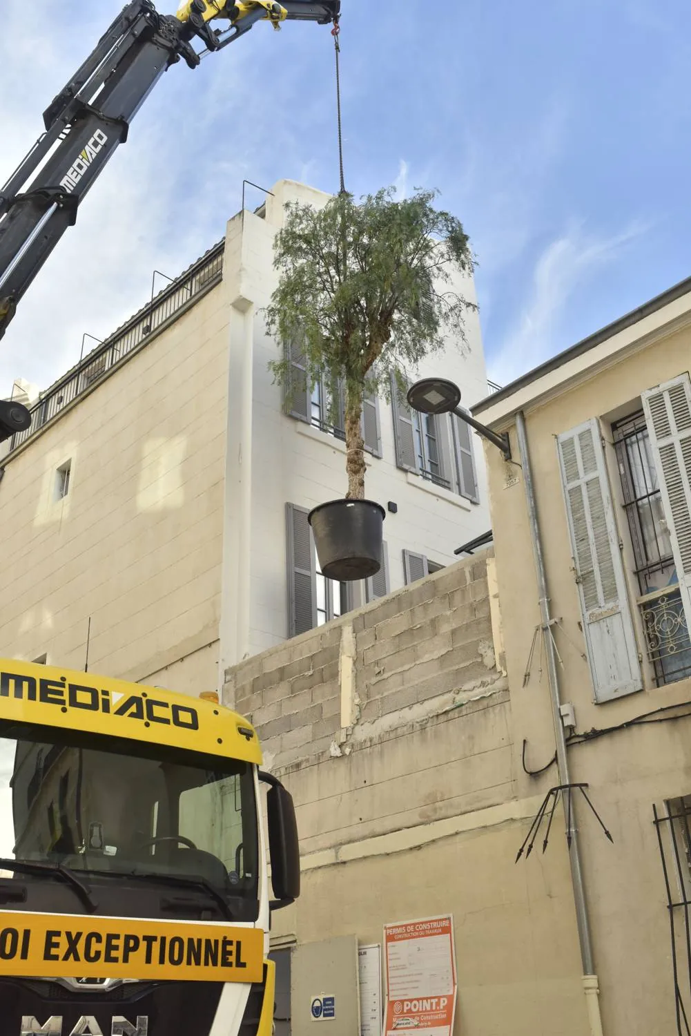 Aménagement et création de jardin pour le patio de l’Hôtel Spa ALEX à Marseille — vue 7