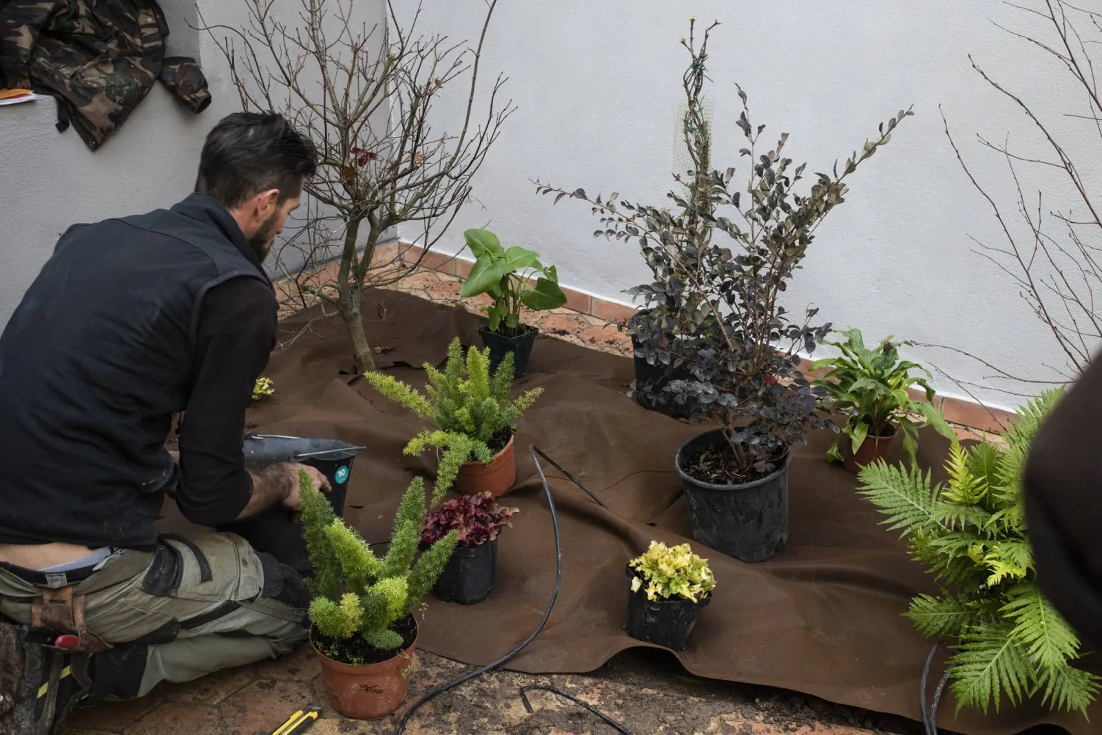 Aménagement et création de jardin pour le patio de l’Hôtel Spa ALEX à Marseille — vue 3