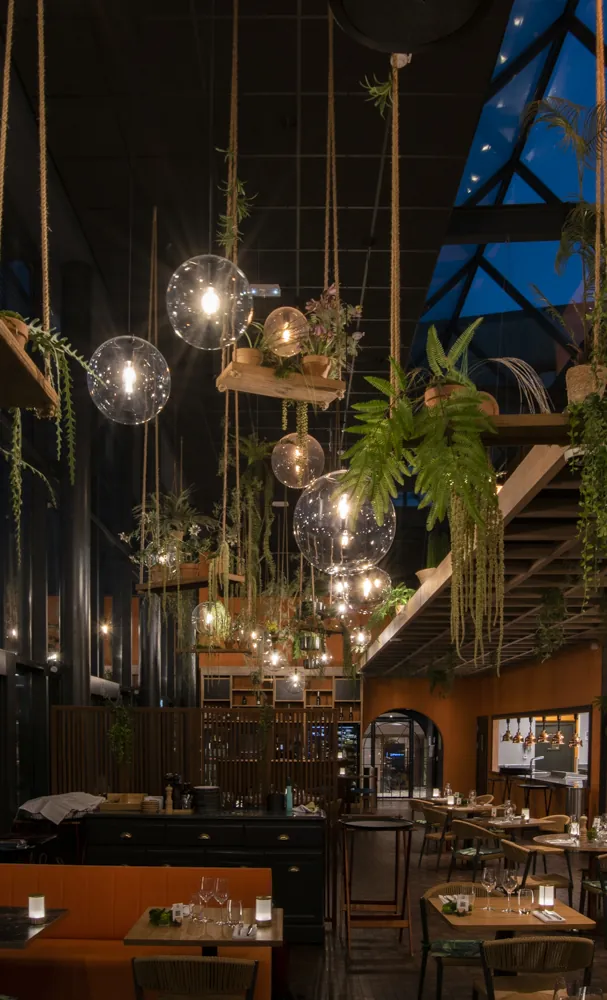 Décoration végétale de l’hôtel Aquabella à Aix en Provence restaurant groupe Partouche proche de Marseille - L’art végétal au service de vos espaces intérieurs et extérieurs — vue 7