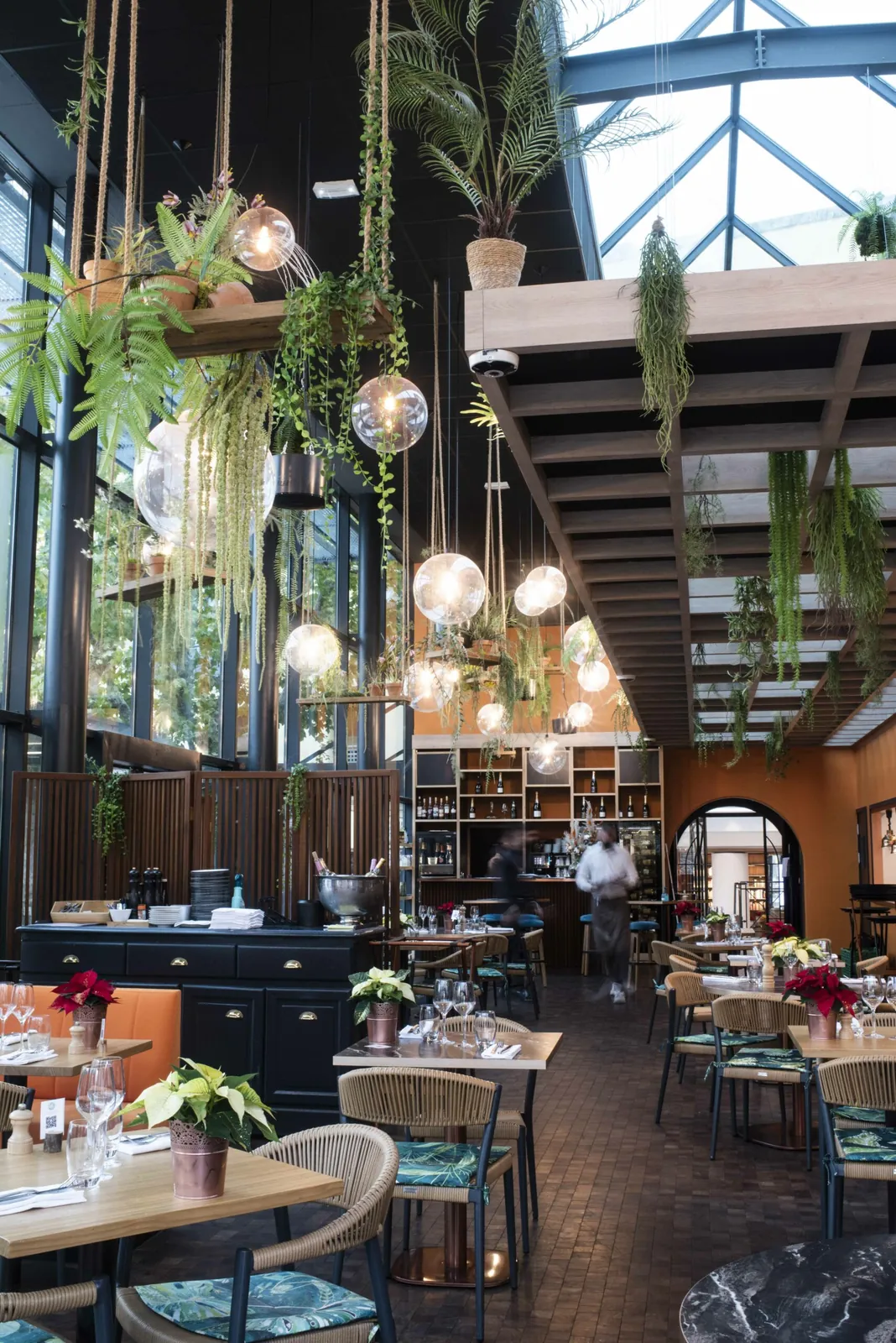 Décoration végétale de l’hôtel Aquabella à Aix en Provence restaurant groupe Partouche proche de Marseille - L’art végétal au service de vos espaces intérieurs et extérieurs — vue 6