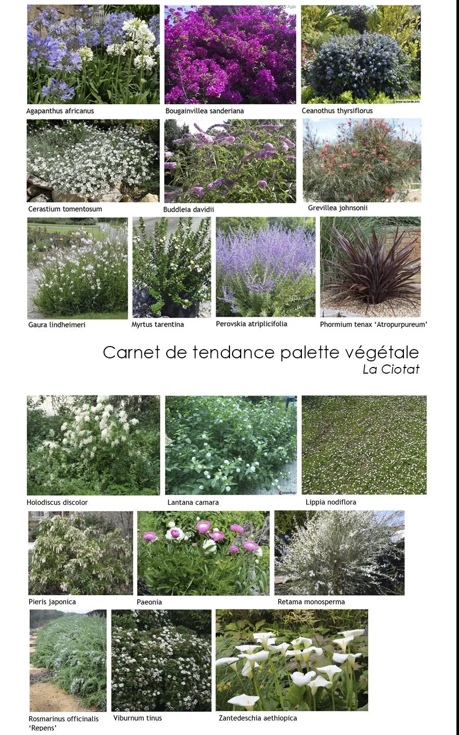 Bureau d’études et conception de jardin - L’art végétal au service de vos espaces intérieurs et extérieurs — vue 2