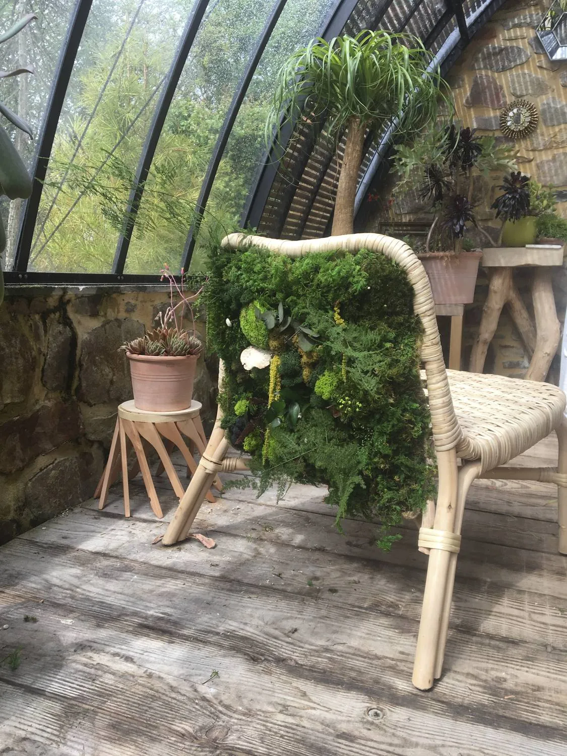 Mobilier végétal : la chaise - L’art végétal au service de vos espaces intérieurs et extérieurs — vue 2