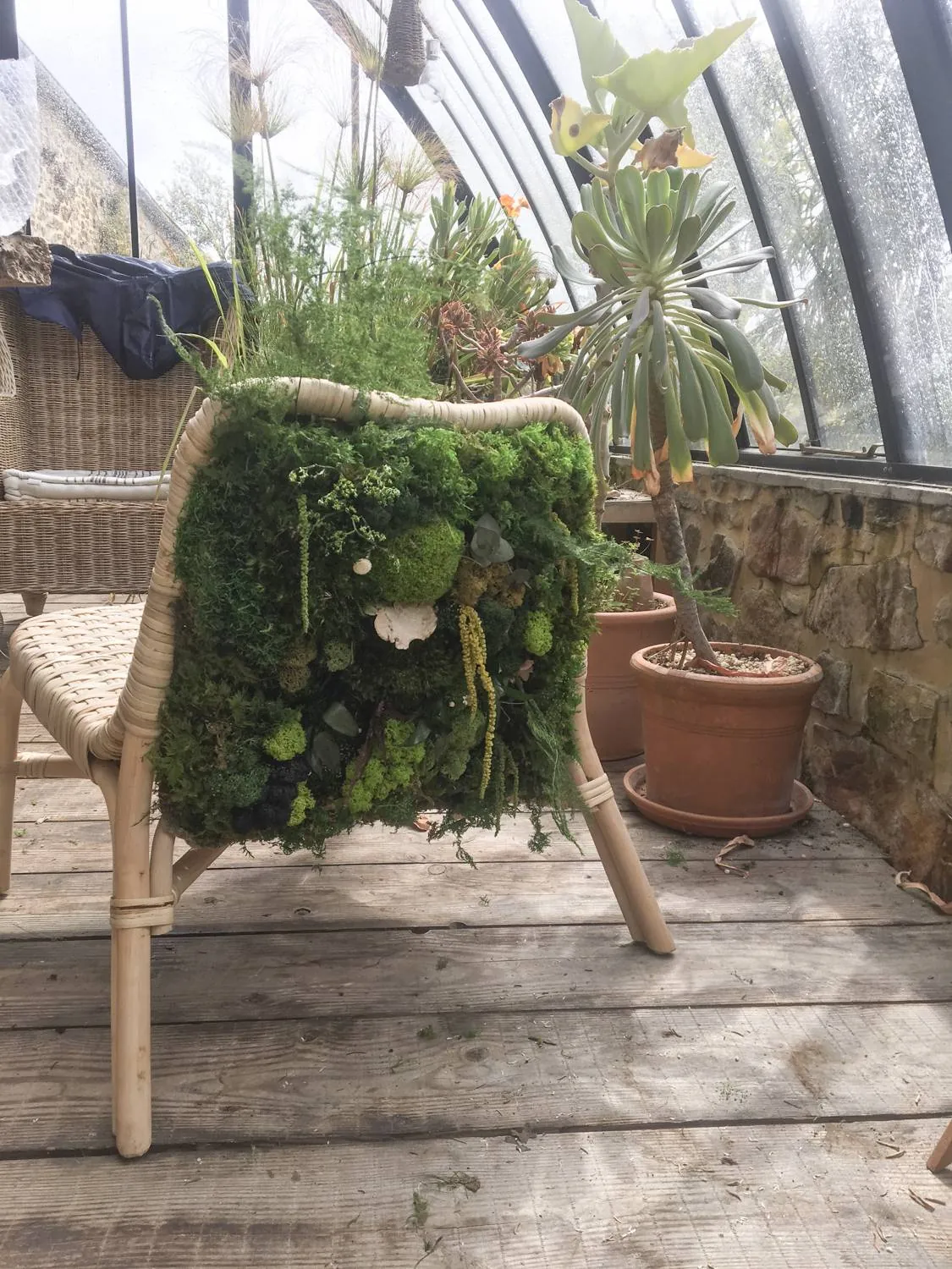 Mobilier végétal : la chaise - L’art végétal au service de vos espaces intérieurs et extérieurs — vue 3