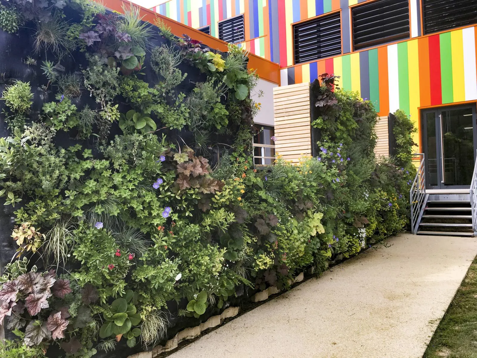 Création de Mur Végétal avec des plantes vivaces — vue 3