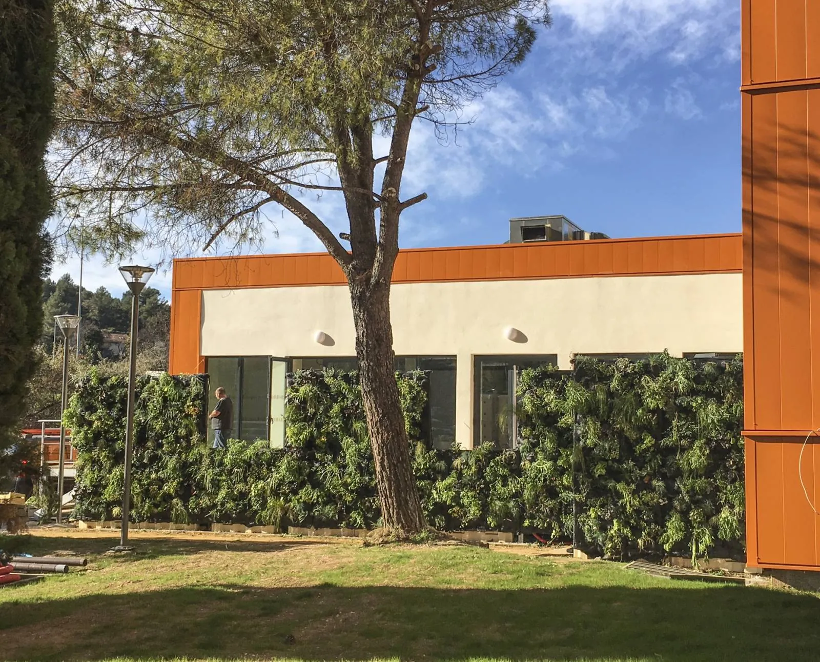 Création de Mur Végétal avec des plantes vivaces — vue 7