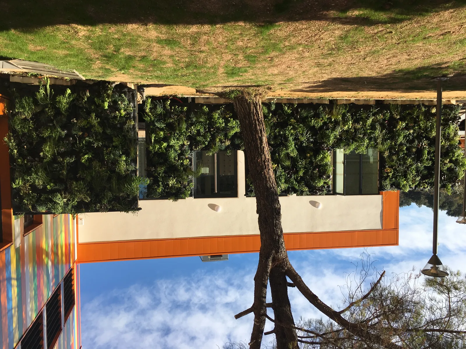 Création de Mur Végétal avec des plantes vivaces — vue 2