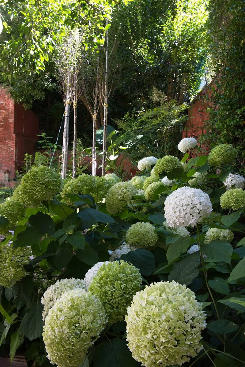 Création du » Jardin Florentin » au coeur de Marseille — vue 7