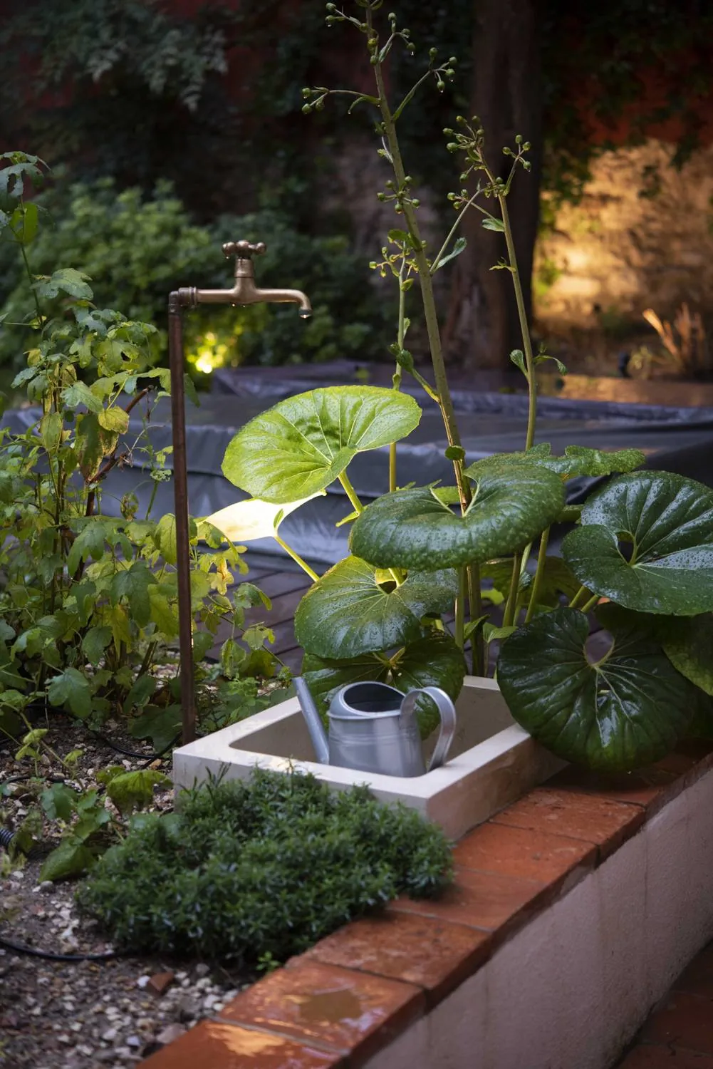Création du » Jardin Florentin » au coeur de Marseille — vue 3