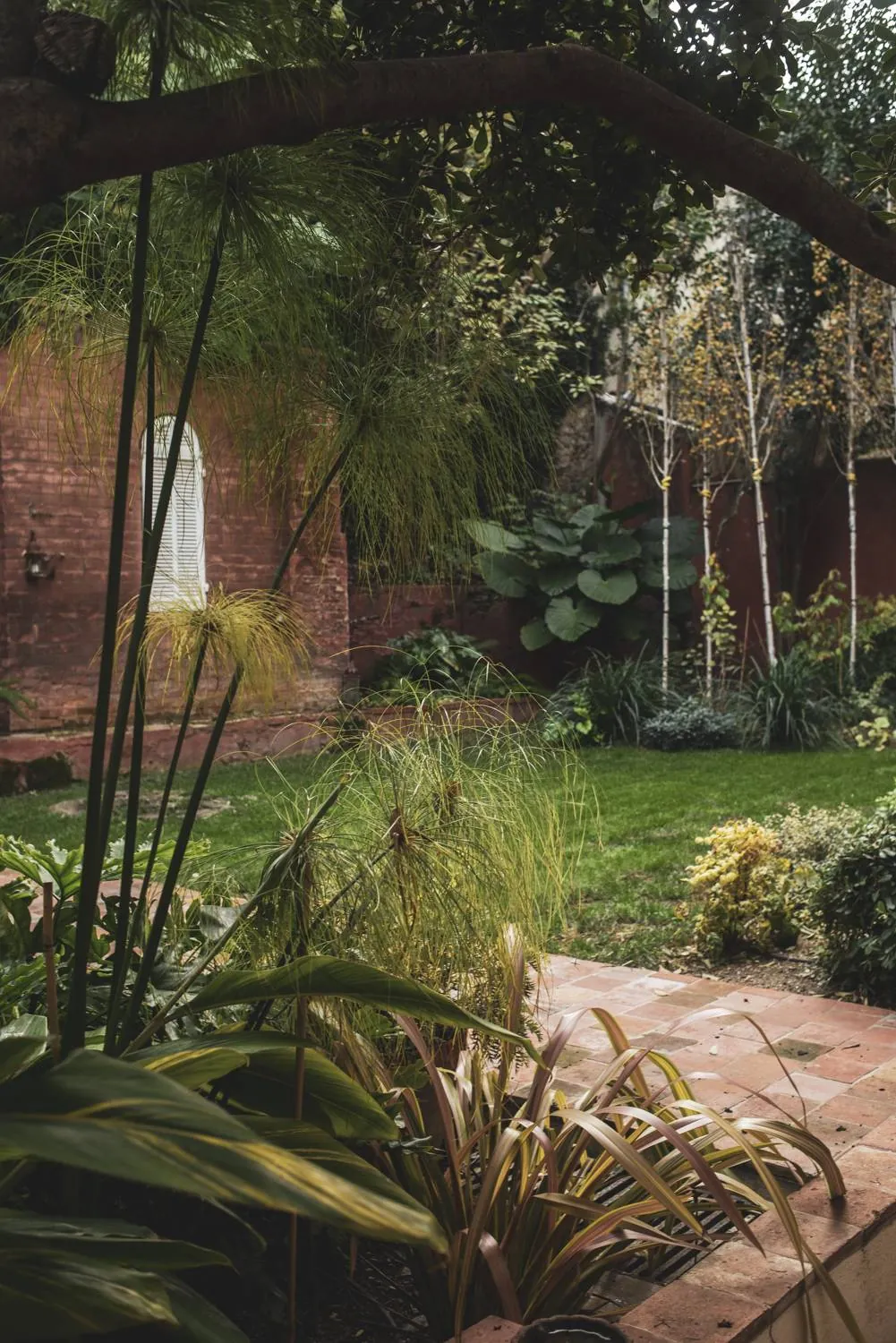 Création du » Jardin Florentin » au coeur de Marseille — vue 6