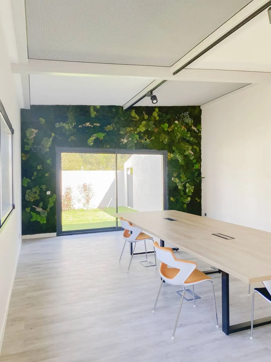 Création d’un mur végétal acoustique en végétaux stabilisés