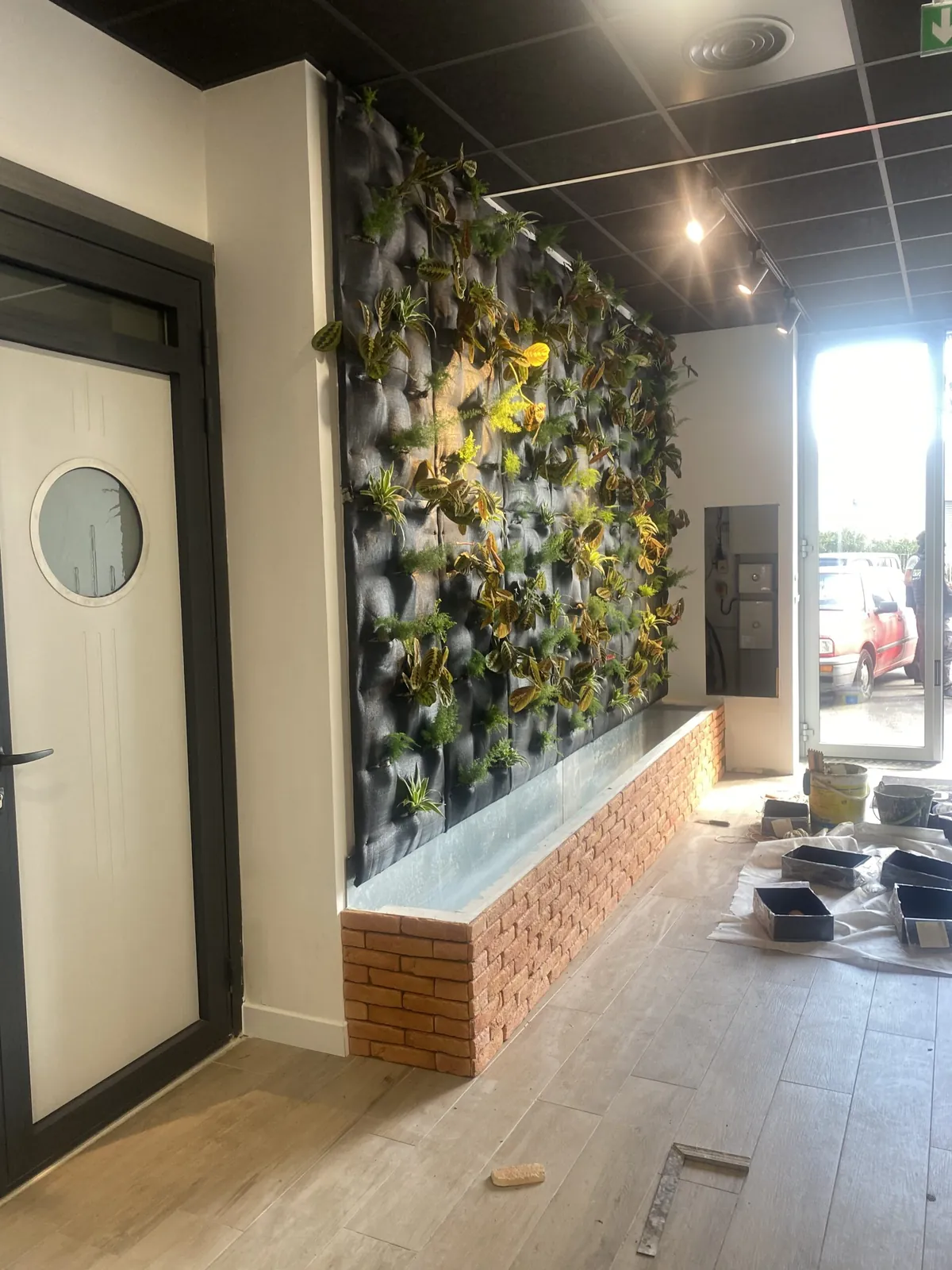 Création d’un mur végétal intérieur entreprise yves Calvo à la Ciotat — vue 6