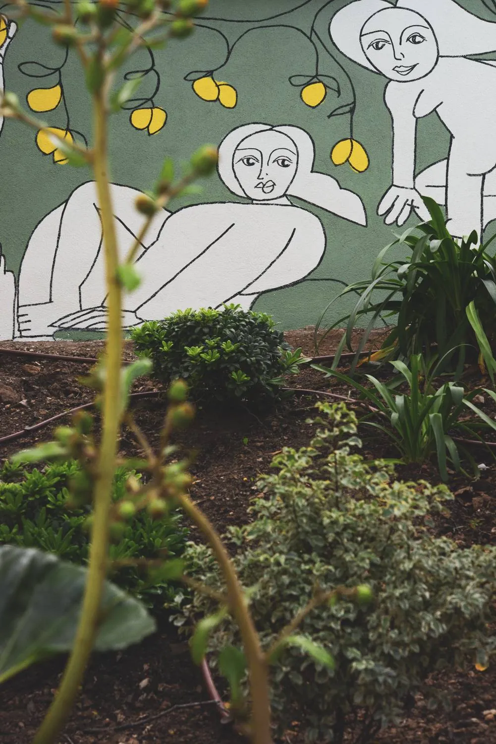 Création et réalisation du « Jardin de verre et vert » Roucas Blanc Marseille — vue 4