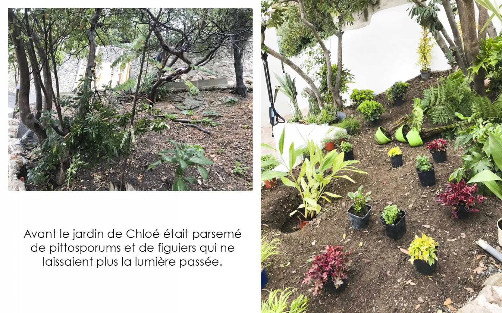 Création et réalisation du « Jardin de verre et vert » Roucas Blanc Marseille