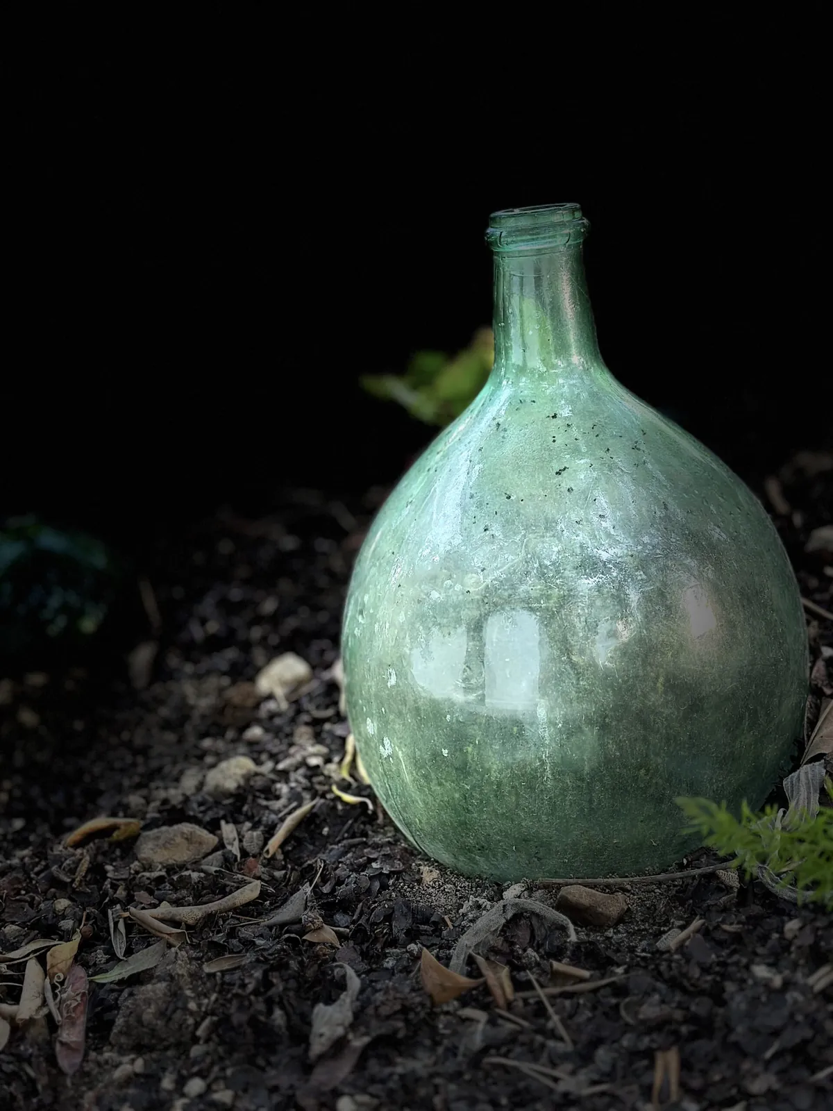 Création et réalisation du « Jardin de verre et vert » Roucas Blanc Marseille — vue 8