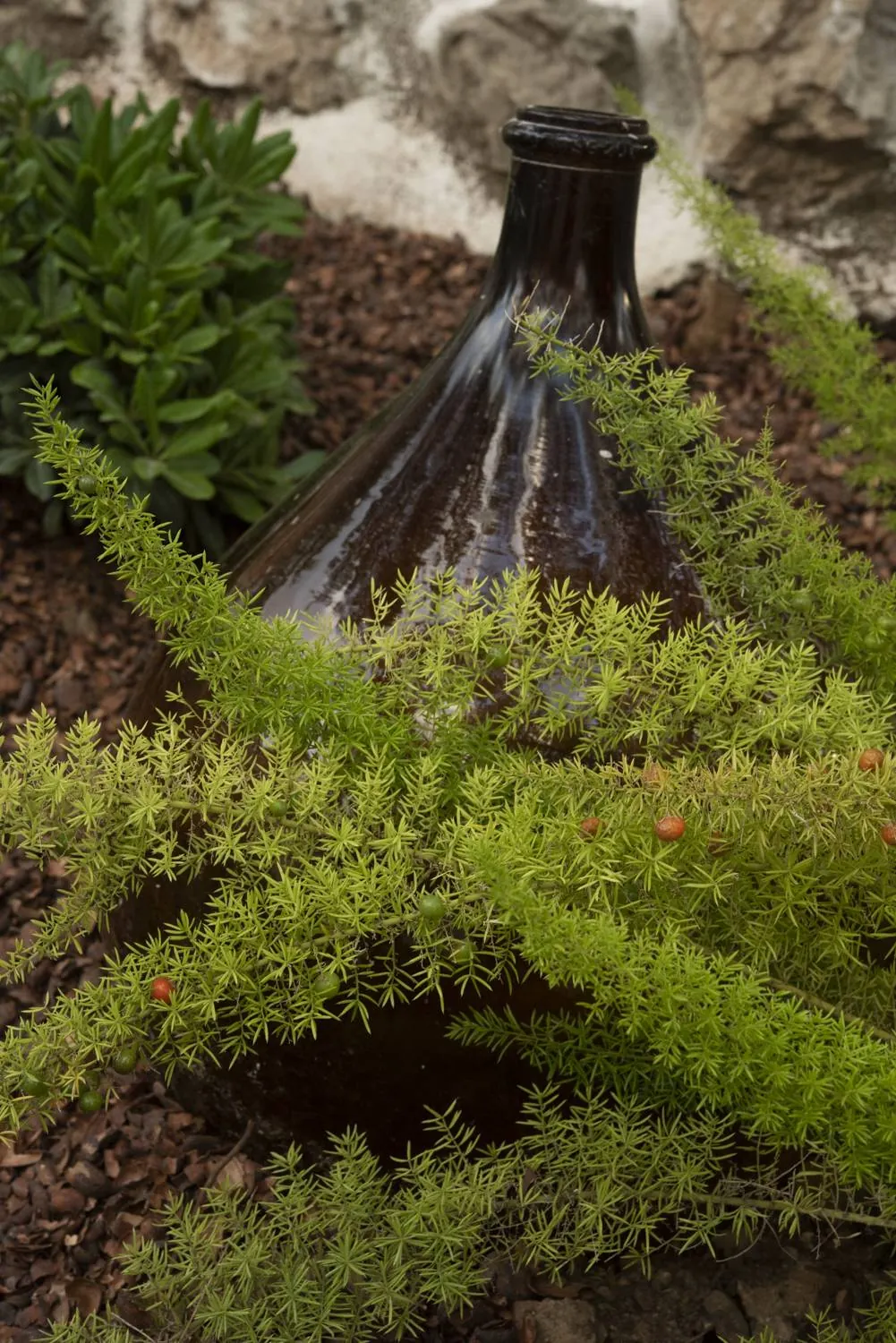 Création et réalisation du « Jardin de verre et vert » Roucas Blanc Marseille — vue 7