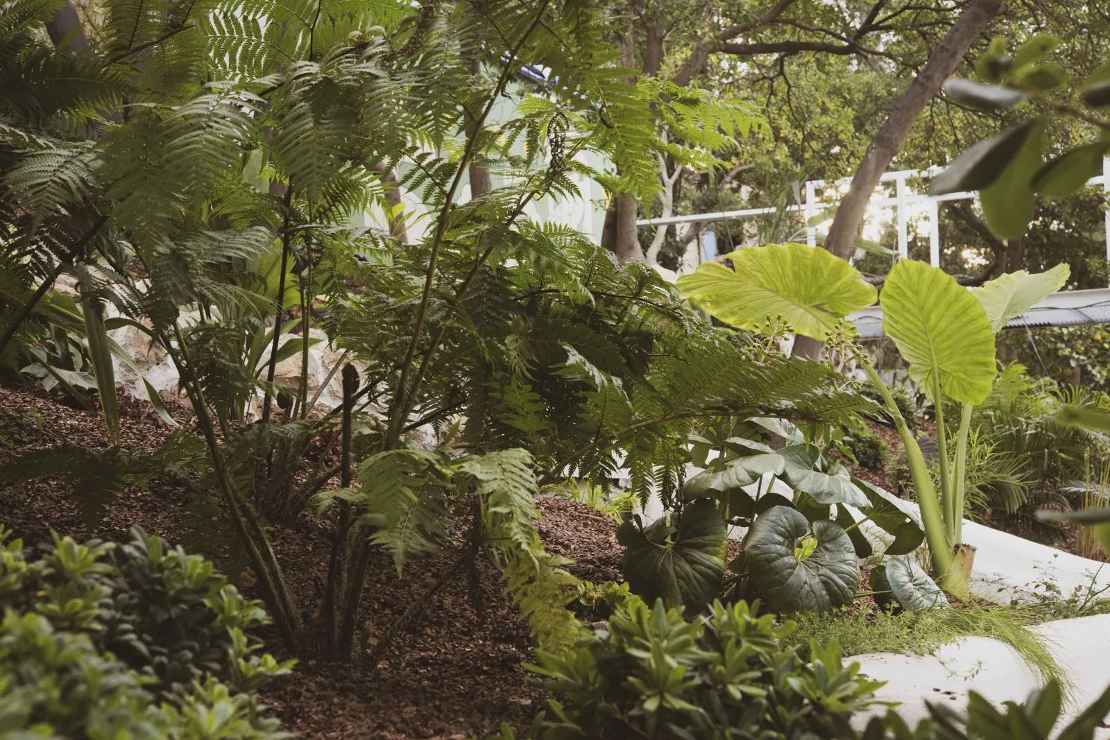 Création et réalisation du « Jardin de verre et vert » Roucas Blanc Marseille — vue 2