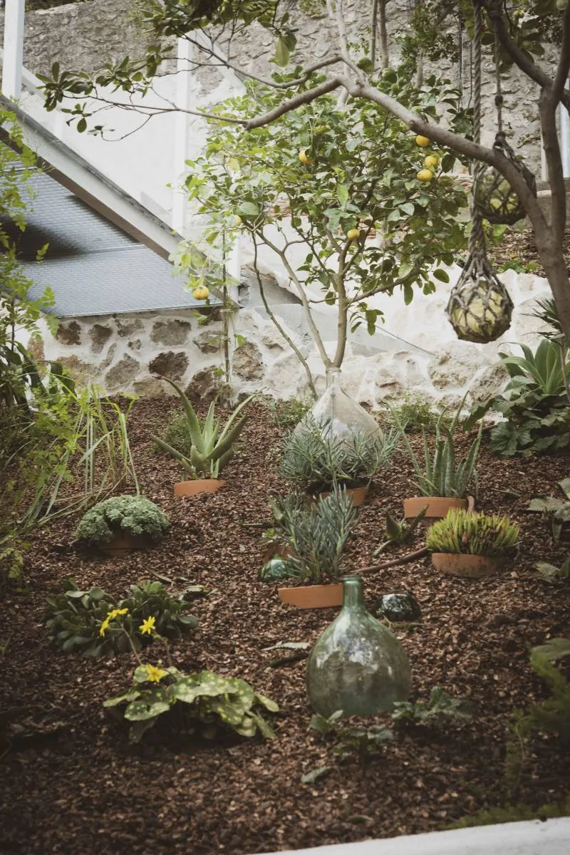 Création et réalisation du « Jardin de verre et vert » Roucas Blanc Marseille — vue 3
