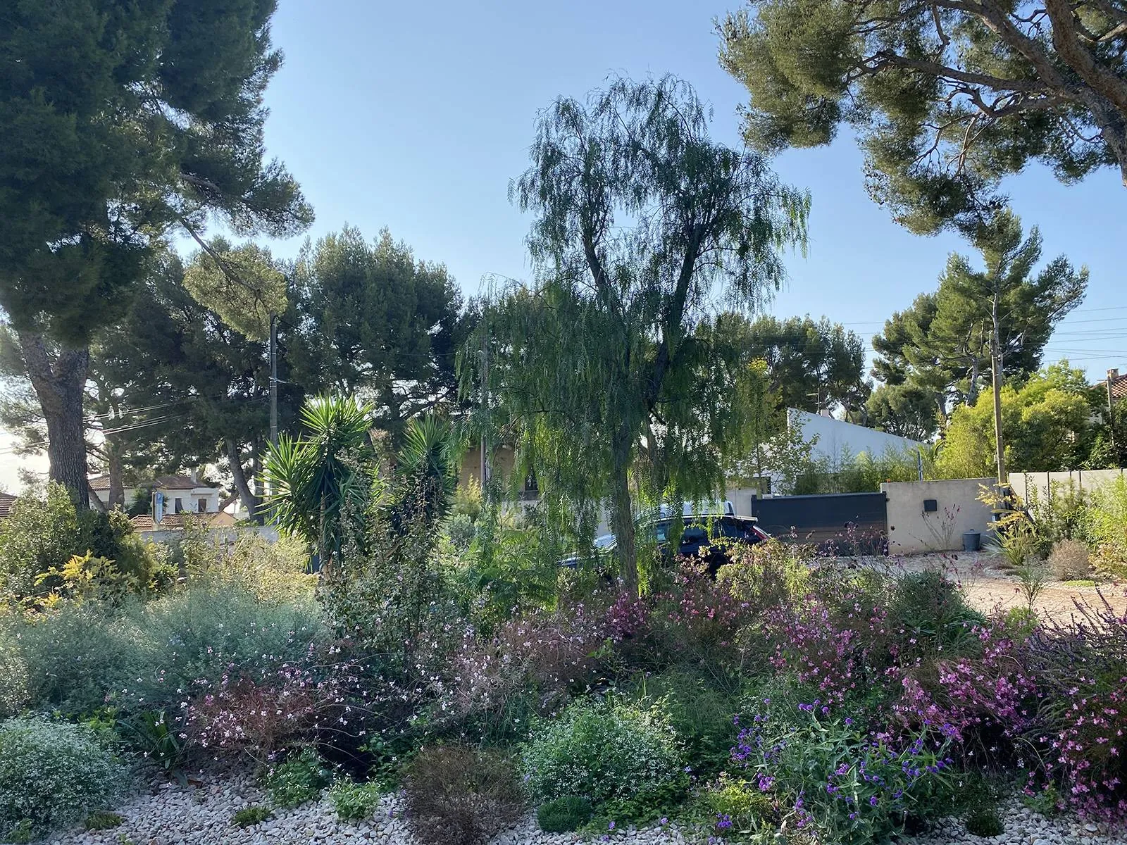 Création et réalisation du « Jardin Parme » à La Ciotat — vue 5