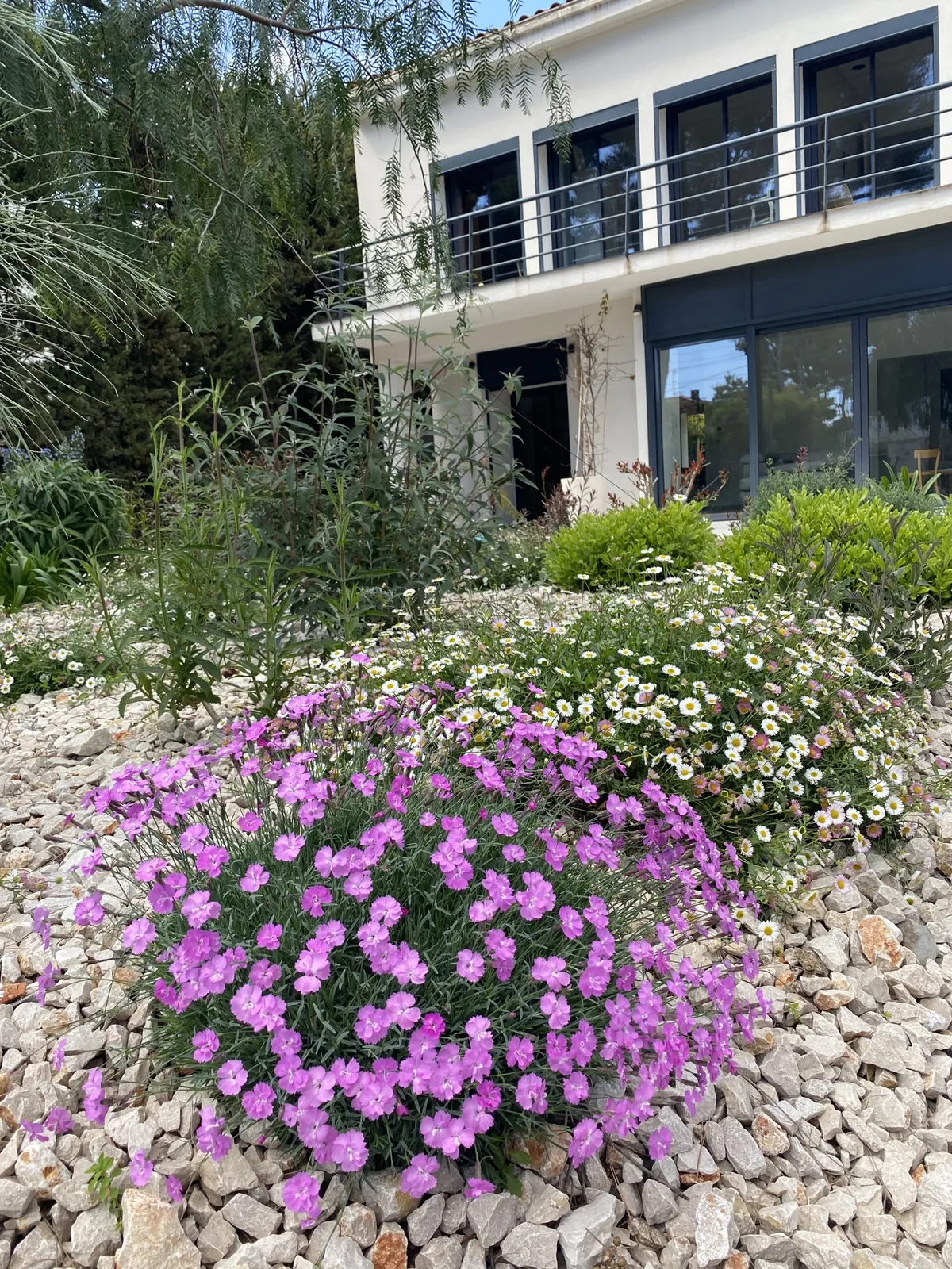 Création et réalisation du « Jardin Parme » à La Ciotat