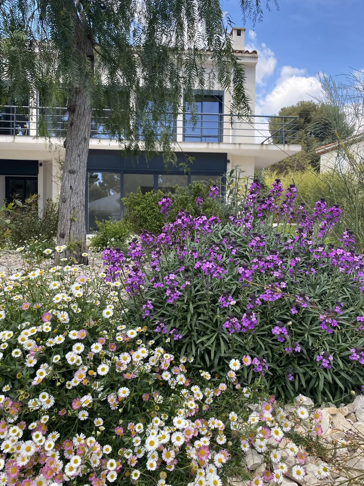 Création et réalisation du « Jardin Parme » à La Ciotat — vue 3
