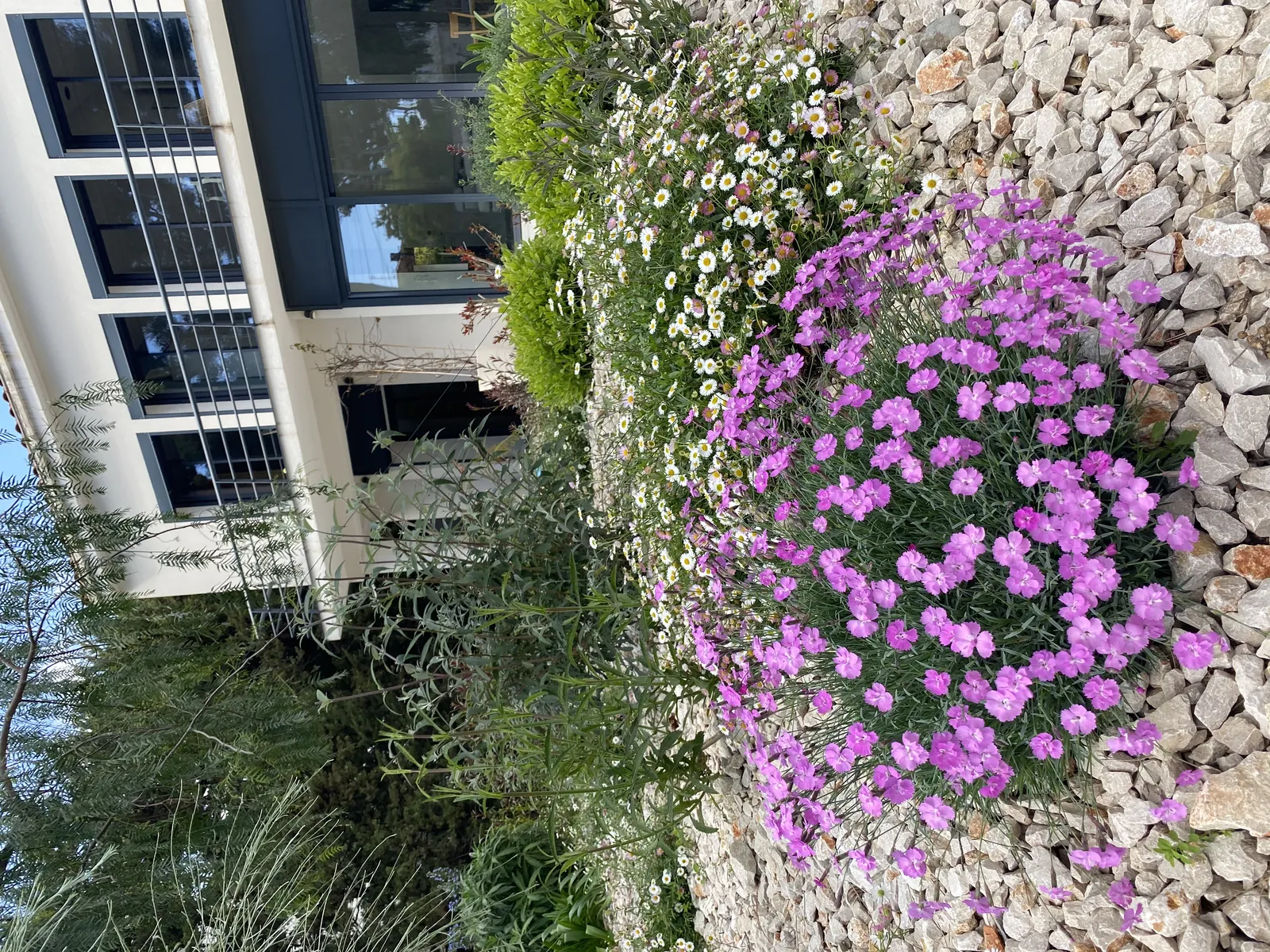 Création et réalisation du « Jardin Parme » à La Ciotat — vue 2