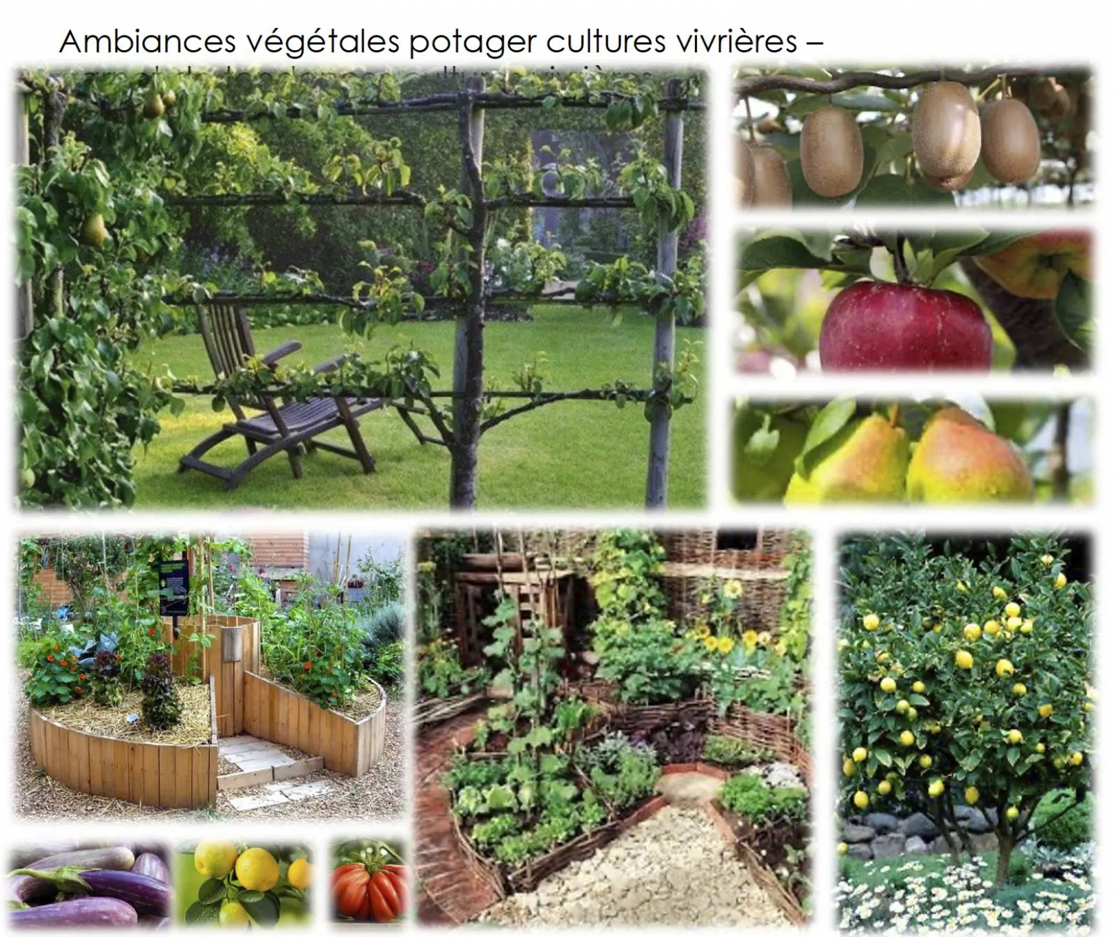Création d’un jardin »Potager spa » à Marseille bouche du rhone — vue 2