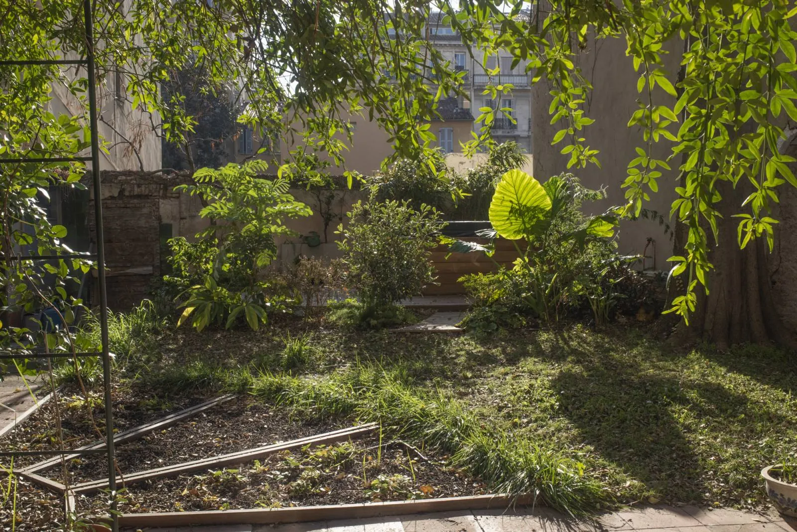 Création d’un jardin »Potager spa » à Marseille bouche du rhone — vue 7