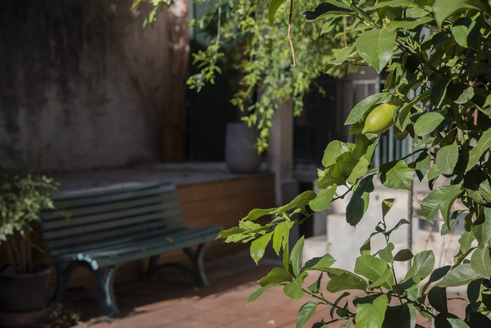 Création d’un jardin »Potager spa » à Marseille bouche du rhone
