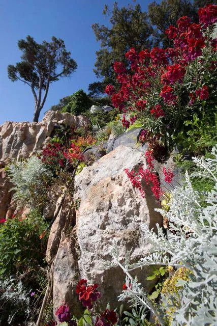 Création d’un jardin vertical pour VILLA ODAYA Cannes croix des gardes — vue 5
