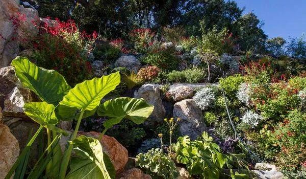 Création d’un jardin vertical pour VILLA ODAYA Cannes croix des gardes — vue 3