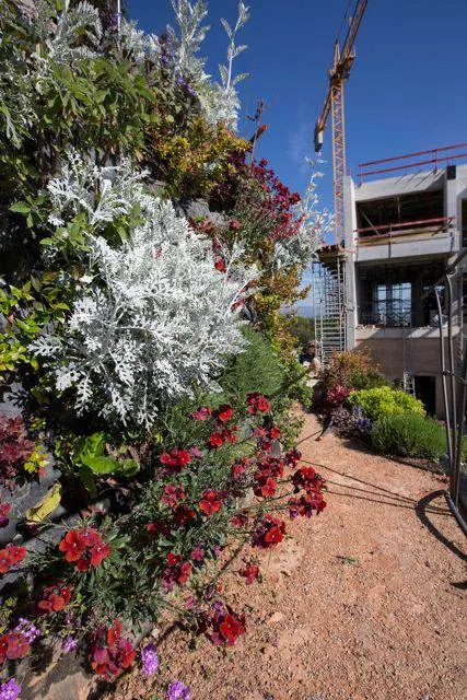 Création d’un jardin vertical pour VILLA ODAYA Cannes croix des gardes — vue 4