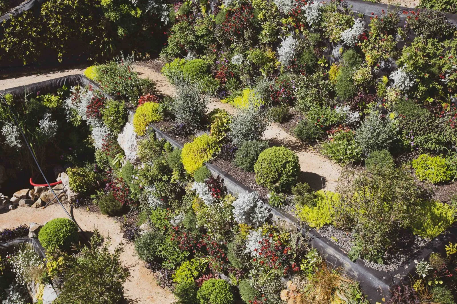 Création d’un jardin vertical pour VILLA ODAYA Cannes croix des gardes — vue 8