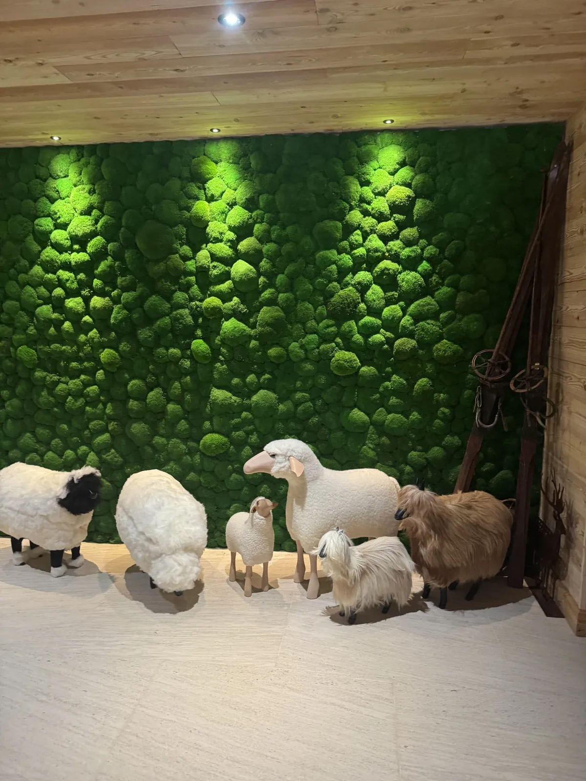 Décoration du hall d’un chalet de montagne avec un mur végétal en mousses boules stabilisées - L’art végétal au service de vos espaces intérieurs et extérieurs — vue 7