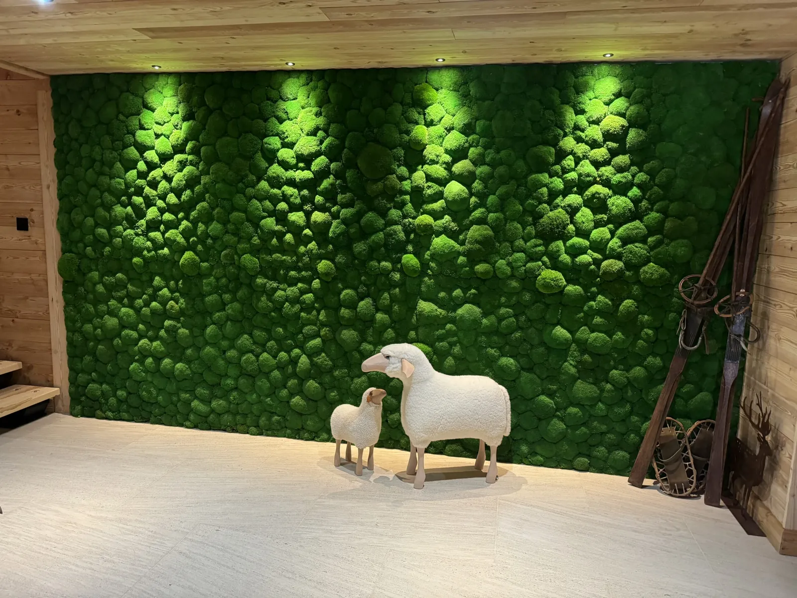 Décoration du hall d’un chalet de montagne avec un mur végétal en mousses boules stabilisées - L’art végétal au service de vos espaces intérieurs et extérieurs — vue 6