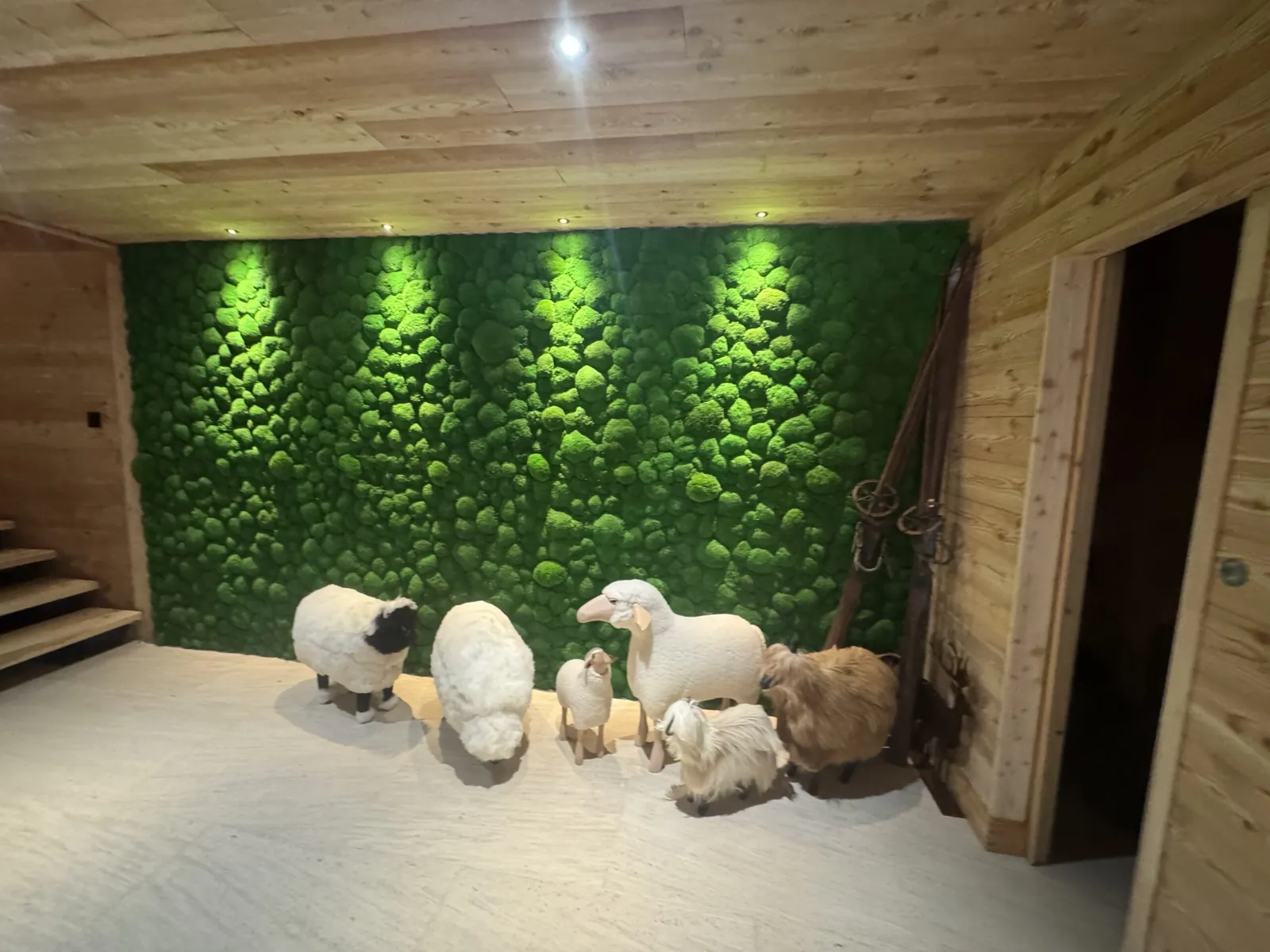 Décoration du hall d’un chalet de montagne avec un mur végétal en mousses boules stabilisées - L’art végétal au service de vos espaces intérieurs et extérieurs — vue 3