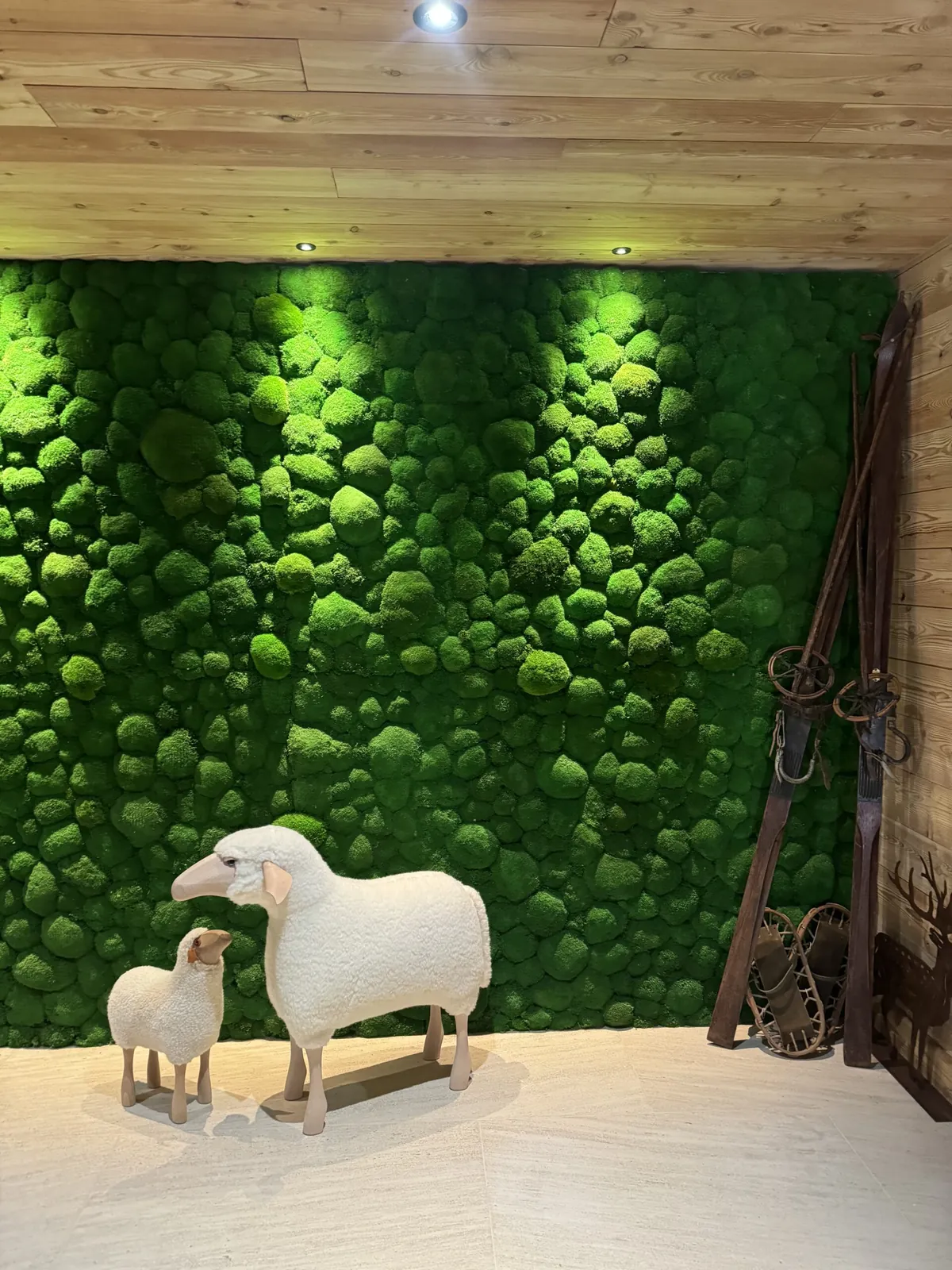 Décoration du hall d’un chalet de montagne avec un mur végétal en mousses boules stabilisées - L’art végétal au service de vos espaces intérieurs et extérieurs — vue 4