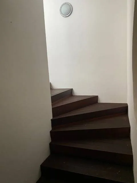 Décoration intérieure et création d’un mur végétal sur-mesure à Marseille — vue 2