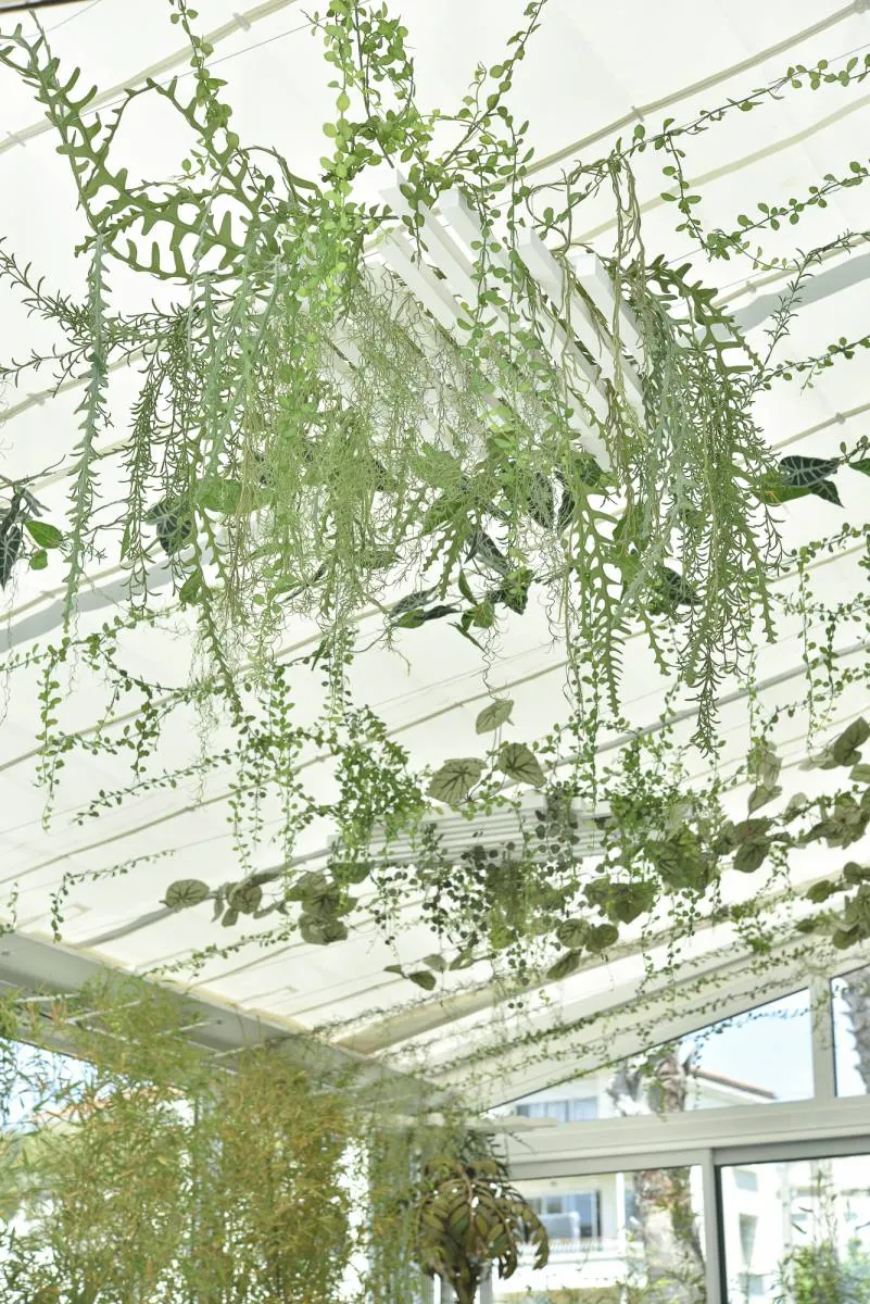 Décoration végétale intérieure de l’Hotel Rose Thé à la Ciotat près de toulon aix en provence marseille dans les bouche du rhone - L’art végétal au service de vos espaces intérieurs et extérieurs — vue 5